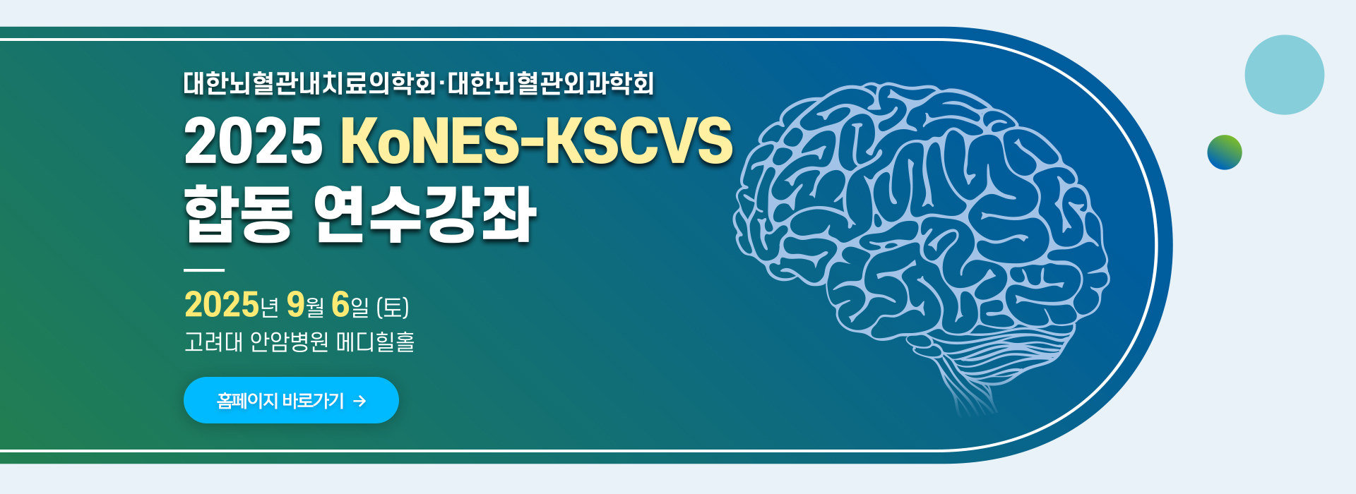 대한뇌혈관내치료의학회 2025 합동연수강좌