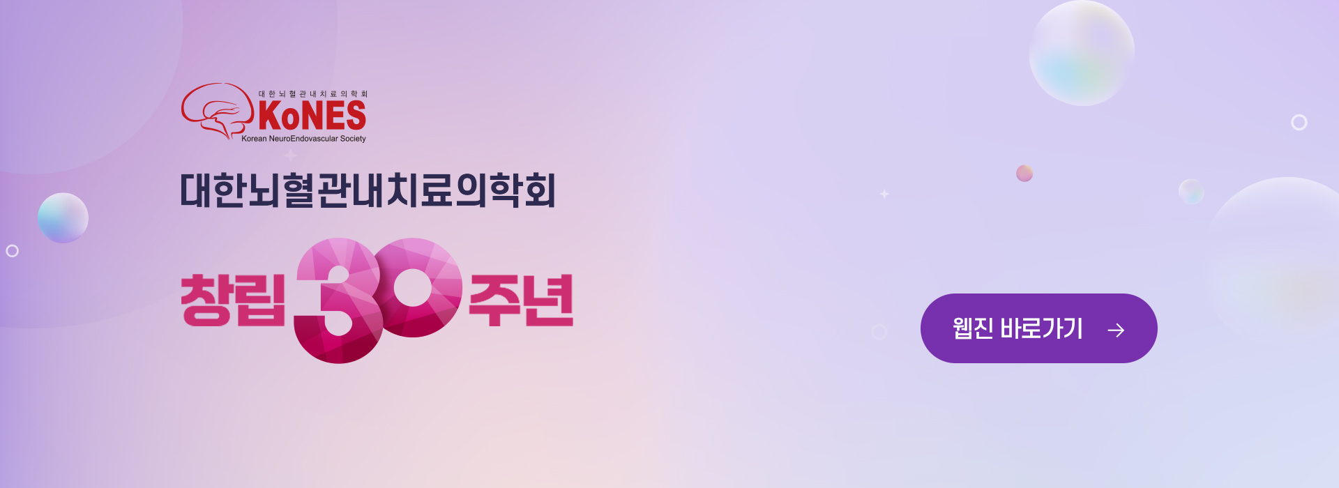 대한뇌혈관내치료의학회 30주년 기념 웹진